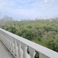 ۱۲۵متر نوساز کلید نخورده فردوسی غربی/دید ابدی جنگل|فروش آپارتمان|تنکابن, |دیوار