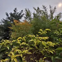 کلبه-رودخانه-دونفره