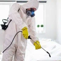 سمپاشی منزل سم پاشی،ازبین بردن حشرات مزاحم|خدمات نظافت|همدان, |دیوار