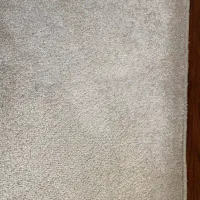 پالاز موکت درحدنو|موکت|ورامین, ورامین|دیوار