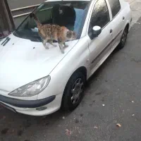 206 v8|خودرو سواری و وانت|تهران, امام زاده قاسم (نیاوران)|دیوار