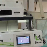 سورتینگ برنج نخجیر
