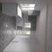 نوساز جنگلی