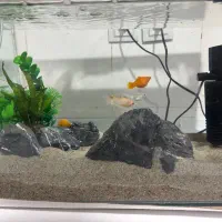 آکواریوم با تمام وسایل