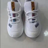 کتونی سالامون