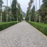 استخدام امورات منزل