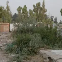 باغچه-نقلی-مناسب-سرمایه-گذاری