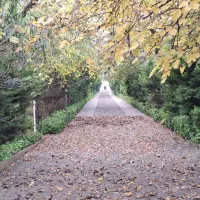 باغ‌ویلا لوکس8500متری/ پنج خواب مستر/استخر دار