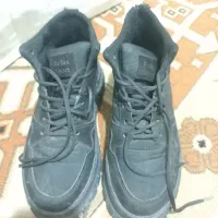 اسپرت درحد نو