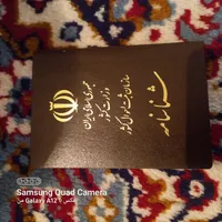 کارت ملی وشناسنامه گم شده
