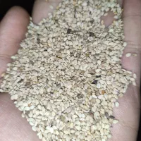 کنجد روغن گیری و نانوایی