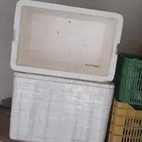 کاچوی یخچالی سایز بزرگ