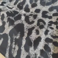 پارچه متری|لباس|میاندوآب, |دیوار