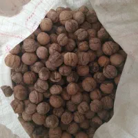 گردو درجه یک عالی