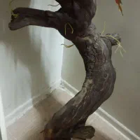 شش تا کناره|گل مصنوعی|زاهدان, |دیوار