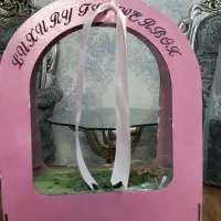 باکس بدون گل