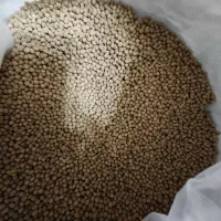 غذای ماهی آب شیرین|ماهی|اصفهان, سروستان|دیوار