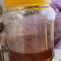 عسل|عمده‌فروشی|اشتهارد, |دیوار