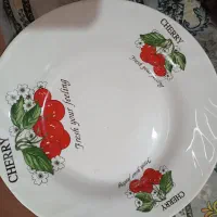 ظرف نو