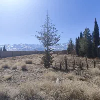 زمین هفت باغ|فروش زمین و ملک کلنگی|ماهان, |دیوار