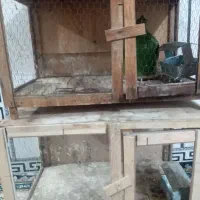 جفت کن کبوتر|لوازم جانبی حیوانات|پاکدشت, شهرک امام رضا|دیوار