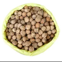 فروشنده‌گردو