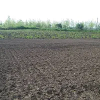 ۵۸۰متر زمین واقع در رشت روستای توریستی نوخاله|فروش زمین و ملک کلنگی|تولم شهر, |دیوار