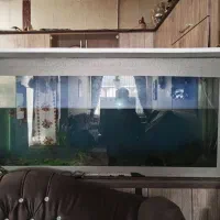 آکواریوم یک‌ونیم متری