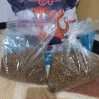 خاک وغذای گربه