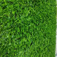 چمن اقتصادی|گل مصنوعی|کلاچای, |دیوار