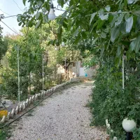 اجاره روزانه سوئیت باغ