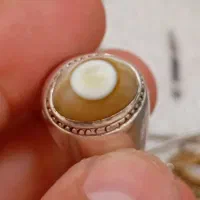 باباقوری کهنه هندی میزون