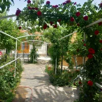 باغبانی|خدمات باغبانی و درختکاری|مشهد, جاهد شهر|دیوار