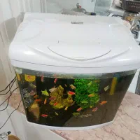 آکواریم  نو باهمه لوازم کامل