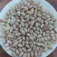 فروش پسته و زعفران