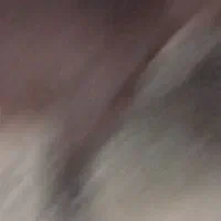 کهره چاق وچله|حیوانات مزرعه|زابل, |دیوار