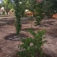 فروش باغ ۱۰۰۰ متری ارزان زیر قیمت واقع در آبپرده.|فروش خانه و ویلا|شیراز, کودیان|دیوار