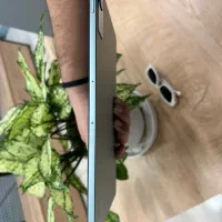 تبلت redmi pad se|تبلت|تهران, تهرانپارس غربی|دیوار