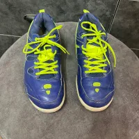 کفش بدمینتون LI-NING|ورزش‌های توپی|زرند, |دیوار