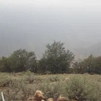 فروش زمین مسکونی در روستای لیند ۵۰۰ متر