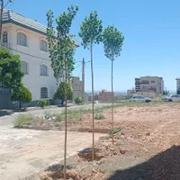 زمین ویلایی216m/ با بر ۹ دوکله فازدو مهستان|فروش زمین و ملک کلنگی|هشتگرد, فاز ۲ مهستان|دیوار