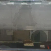 آکواریوم