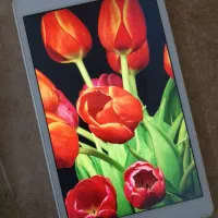تبلت سامسونگ  tabA t295
