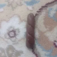 سنگ باستانی|کلکسیون اشیاء عتیقه|ملارد, |دیوار