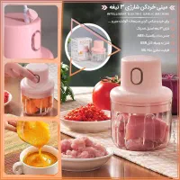 خردکن  مسافرتی  مارک دانژه  باگارانتی / ۵عددمانده