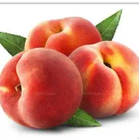 باغچه در عربلوی بیشه