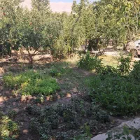 فروش /باغ /فاروق دربهترین لوکیشن|فروش خانه و ویلا|مرودشت, مسجد رسول‎|دیوار