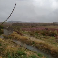 فروش زمین جهت احداث باغ