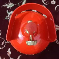 پیک نیک 1kg|اجاق گاز و لوازم برقی پخت‌وپز|شهریار, اصیل آباد|دیوار