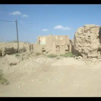 زمین سند دار تک برگ